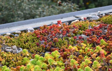 the cost of East Allington green roof installation
