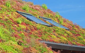 East Allington living roof systems